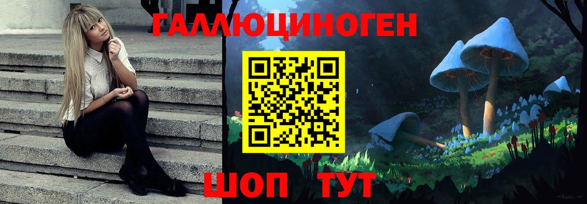 Псилоцибиновые грибы Psilocybine cubensis Волгоград